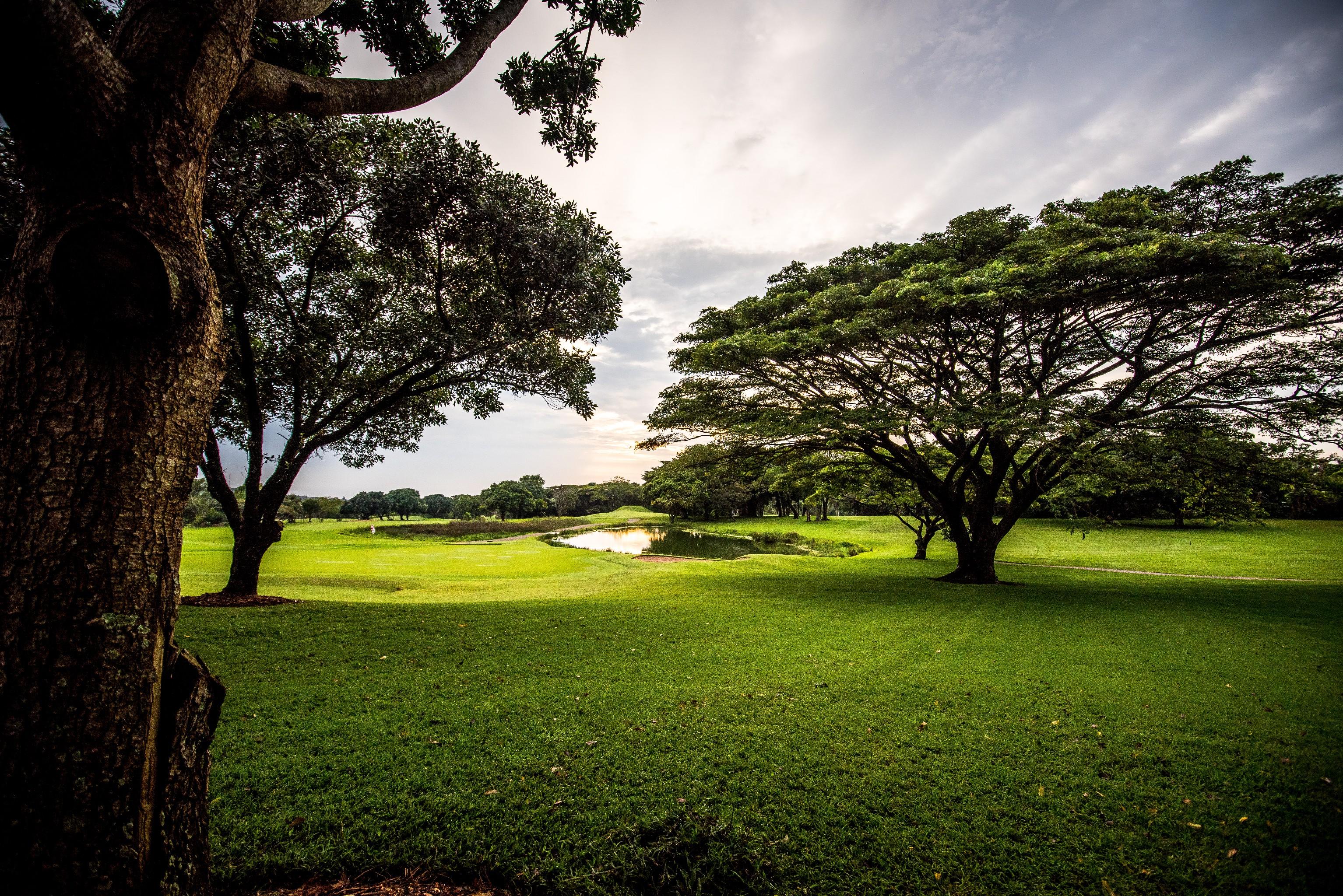 Selborne Golf Estate, Hotel & Spa Pennington Extérieur photo
