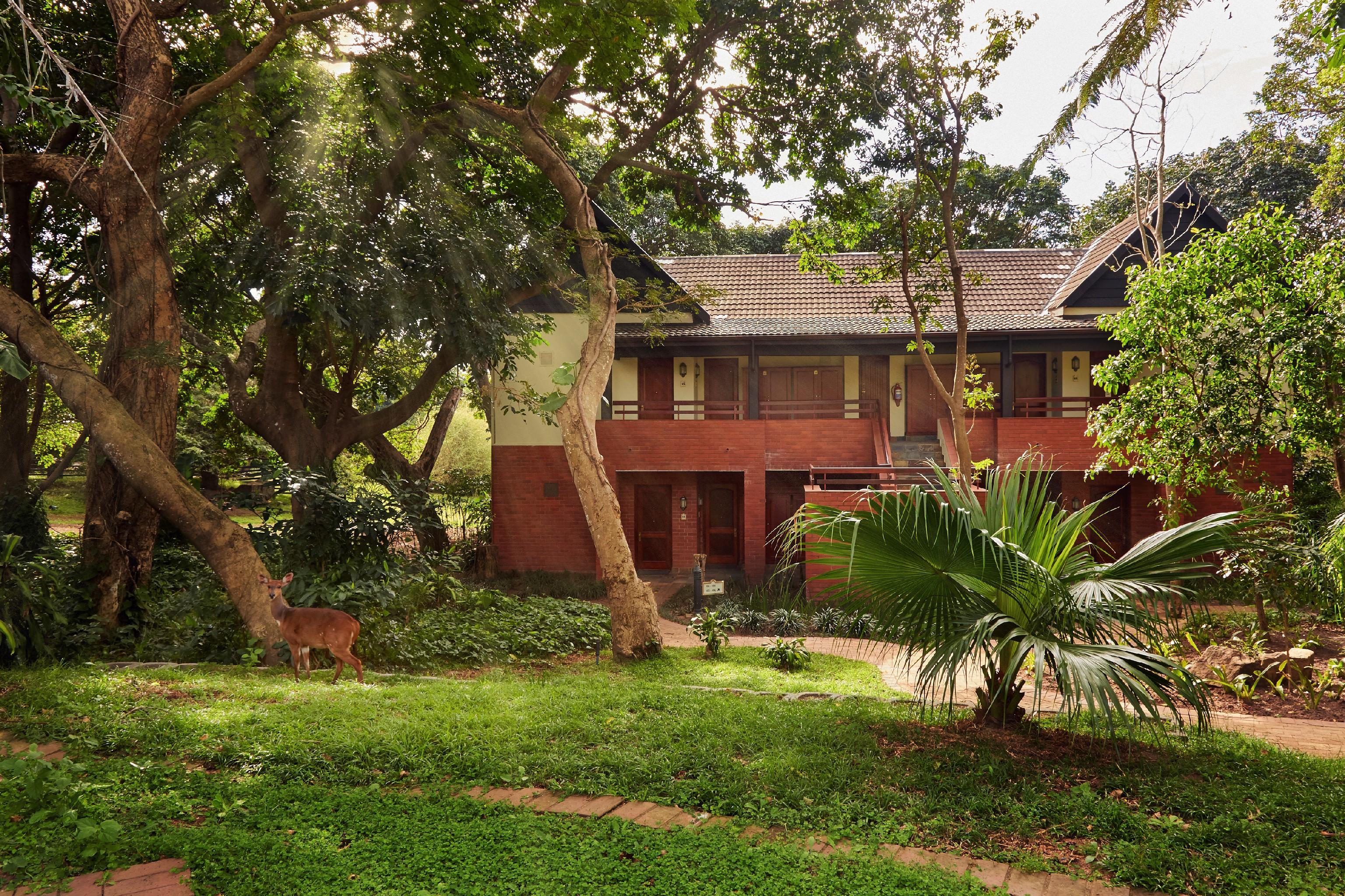 Selborne Golf Estate, Hotel & Spa Pennington Extérieur photo